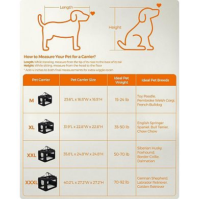 Premium Portable Pet Carrier for Small Dogs and Cats - Comfortable Travel Bag