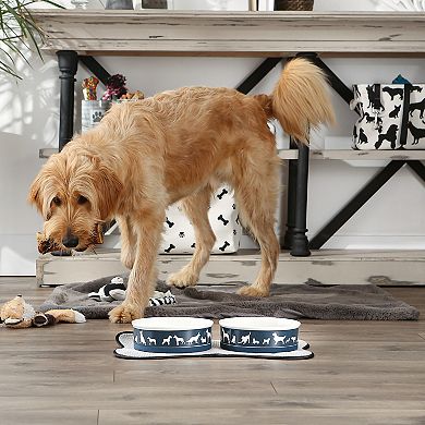 Bone Dry Pet Bowl Dog Show 2-pc. Set