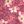 Pink Floral