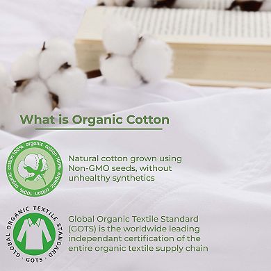 SUPERIOR Gina Organic Cotton 300 Thread Count Percale Extra Deep Pocket Sheet Set