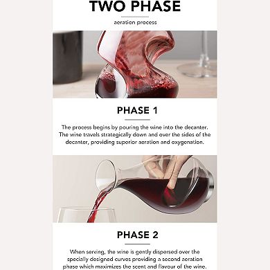 Final Touch Conundrum Aerator Wine Decanter