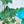Island Scenic