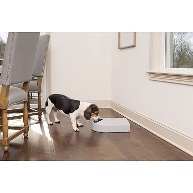 PetSafe® 5 Meal Pet Feeder