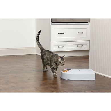PetSafe® 5 Meal Pet Feeder