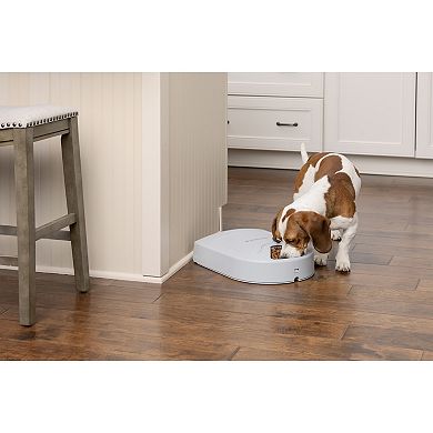 PetSafe® 5 Meal Pet Feeder