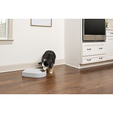 PetSafe® 5 Meal Pet Feeder