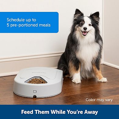 PetSafe® 5 Meal Pet Feeder