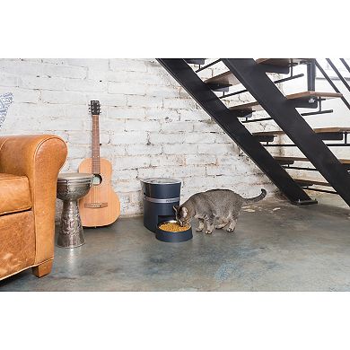 PetSafe® Smart Feed Automatic Dog & Cat Feeder