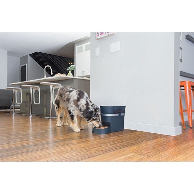 PetSafe® Smart Feed Automatic Dog & Cat Feeder