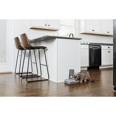 PetSafe® Automatic 2 Meal Pet Feeder