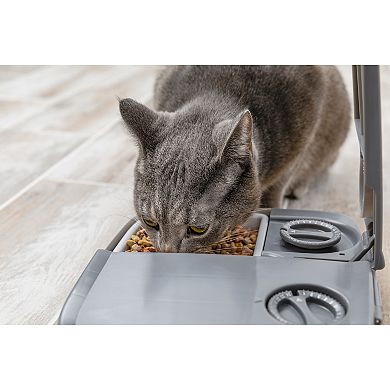PetSafe® Automatic 2 Meal Pet Feeder