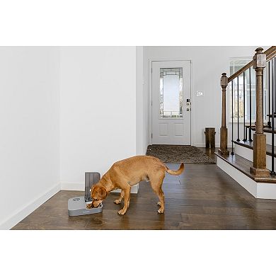 PetSafe® Automatic 2 Meal Pet Feeder