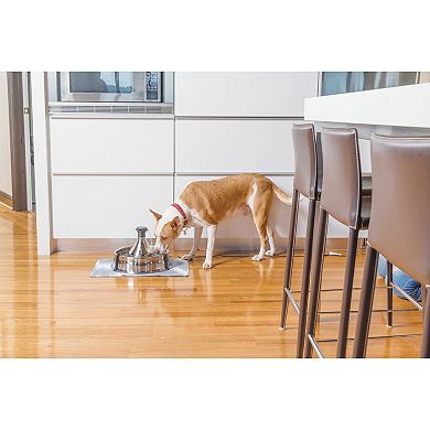 PetSafe® Drinkwell® Stainless Multi-Pet Pet Fountain