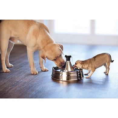 PetSafe® Drinkwell® Stainless Multi-Pet Pet Fountain