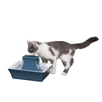 PetSafe® Drinkwell® Himalayan Blue Pagoda Pet Fountain
