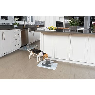 PetSafe® Drinkwell® Gray Seascape Pet Fountain