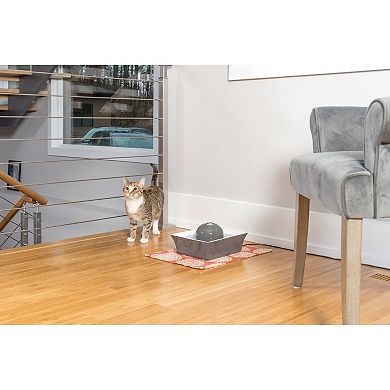 PetSafe® Drinkwell® Gray Seascape Pet Fountain