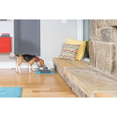 PetSafe® Drinkwell® Gray Seascape Pet Fountain