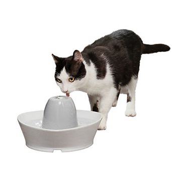 PetSafe® Creekside Ceramic Pet Fountain