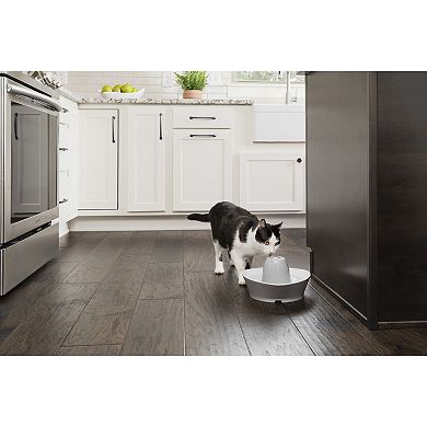 PetSafe® Creekside Ceramic Pet Fountain