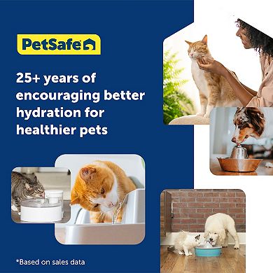 PetSafe® Seaside Stainless Pet Fountain