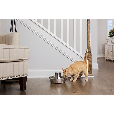 PetSafe® Seaside Stainless Pet Fountain