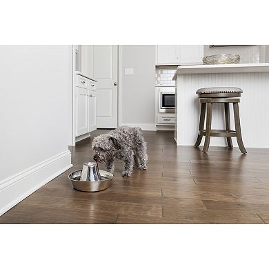 PetSafe® Seaside Stainless Pet Fountain
