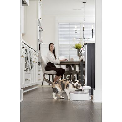 PetSafe® Outlast™ 90-oz. Pumpless Pet Fountain