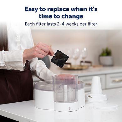 PetSafe® Ion-X™ 4-pk. Pet Fountain Filters