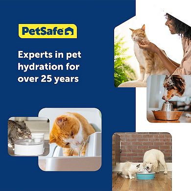 PetSafe® Ion-X™ 4-pk. Pet Fountain Filters