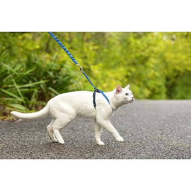 PetSafe® Come With Me Kitty Harness & Bungee Leash