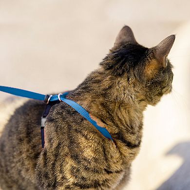PetSafe® Come With Me Kitty Harness & Bungee Leash