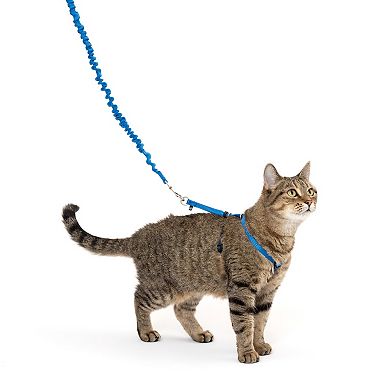 PetSafe® Come With Me Kitty Harness & Bungee Leash