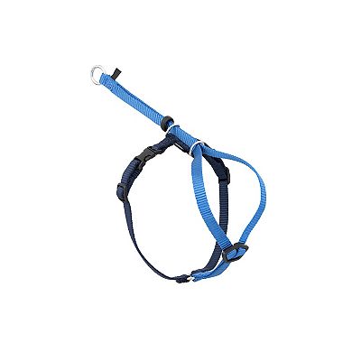 PetSafe® Come With Me Kitty Harness & Bungee Leash