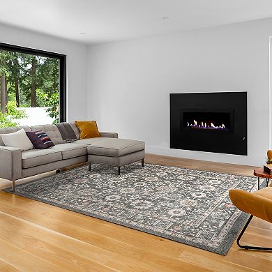 Gertmenian Heirloom Dov Bohemian Medallion Area Rug