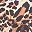 Classic Leopard