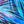 Blue Palm
