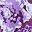 Plum Purple Floral