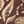 Coffee Bean Floral
