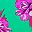 Bali Floral