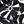 Black Palm
