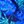 Vibrant Palm Blue