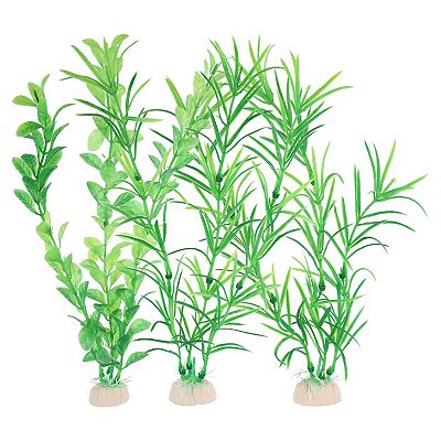 buy philodendron cordatum on a pole Heart Leaf Philodendron Totem - 10