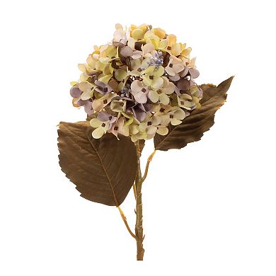 Melrose 6-pc. Artificial Harvest Hydrangea Stem Set