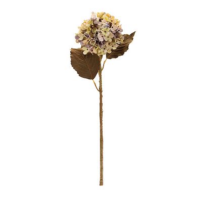 Melrose 6-pc. Artificial Harvest Hydrangea Stem Set