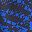 Check Break Blue