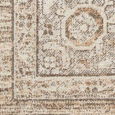 Nourison Astra Vintage Traditional Washable Indoor Rug
