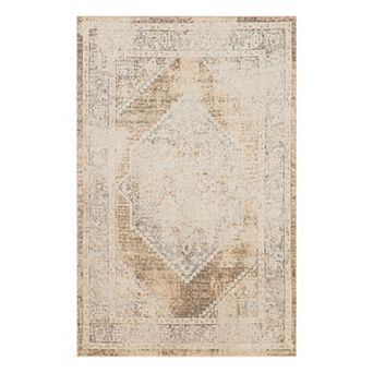 Nourison Astra Vintage Traditional Washable Indoor Rug