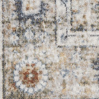 Nourison Astra Floral Persian Washable Indoor Rug