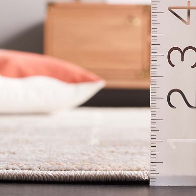 Safavieh Whisper Cole Rug